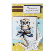 Спасибо за знания!