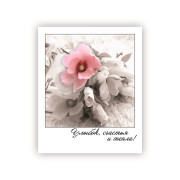 Улыбок, счастья и тепла!