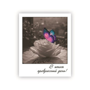 В этот прекрасный день!