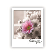 Хорошего дня!