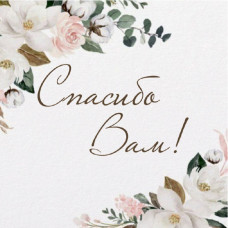 Спасибо Вам!