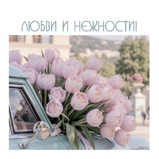 Любви и нежности!