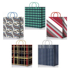 201/202/203/204/205 mix М25  Пакет подарочный ламинированный(180*227*100)