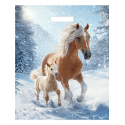 Пакет вырубной Дуэт 45х38/60мкм