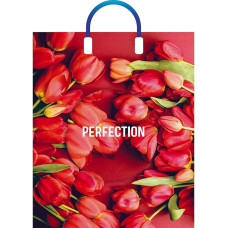 Пакет с пл. ручками Совершенство 38х45/90мкм