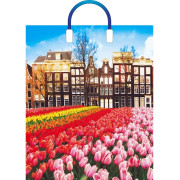 Пакет с пл. ручками Весна в городе 38х45/90мкм