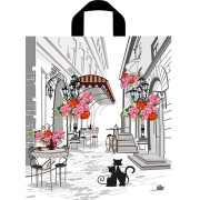 Пакет петлевой Маленькая история 42x38/37мкм