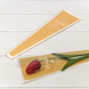 Пакет "Конус для цветов" 12,5*4*40 (30 шт.) Белая рамка 1/200