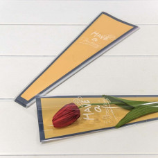 Пакет "Конус для цветов" 12,5*4*40 (30 шт.) Синяя рамка 1/200