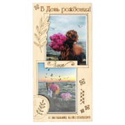 В День Рождения!