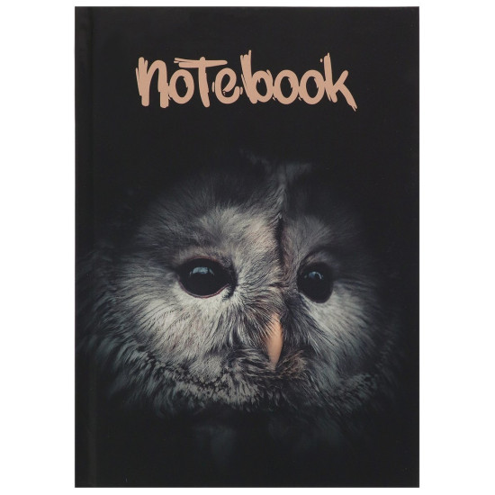 Записная книга А5 Сова (7БЦ, soft touch, крафт блок, 80 л)