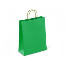 Пакет бумажный 80 г/м2 крученые ручки 450*350*150 Green с печатью (250, 0)
